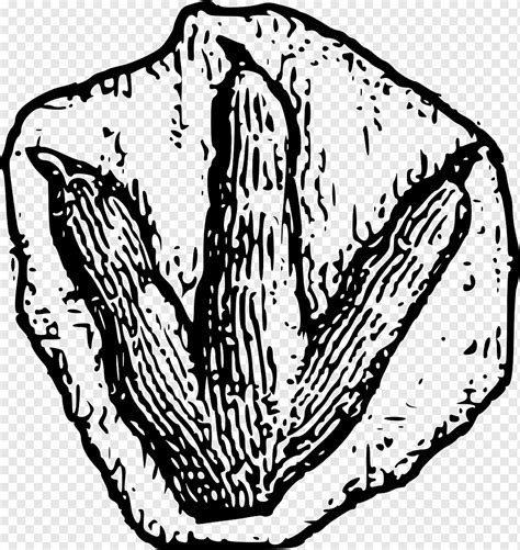 Image result for List Rotating in Python