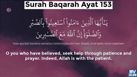 Surah Al-Baqarah Ayat 157 (2:157 Quran) With Tafsir My, 59% OFF