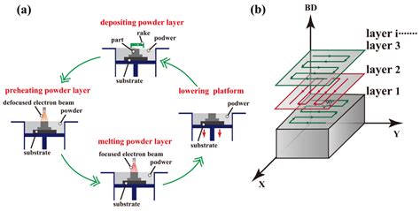 Selective Electron Beam Melting (SEBM) of Pure Tungsten: Metallurgical ...