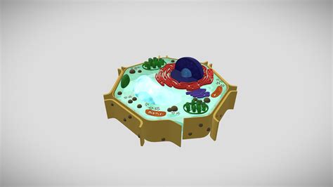 Plant Cell 3d Diagram