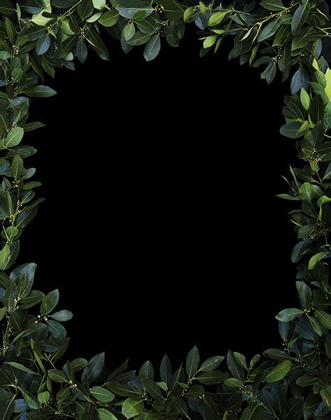 J. John Priola - Kehrer Verlag