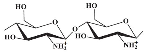 Antibacterial and Anti-Inflammatory Coating Materials for Orthopedic ...