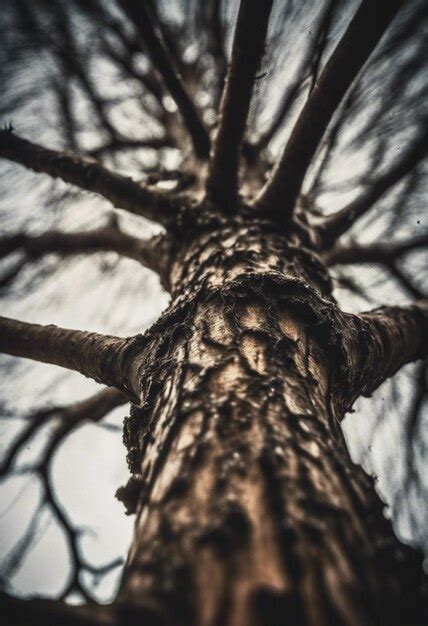 Image result for Exploding SAP Tree