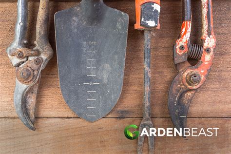 Remove Rust From Tools 的图像结果