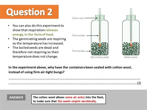 Free Science Lessons Respiration 的图像结果