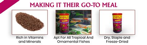 FishAsPets Hallofeed Freeze Dried Blood Worms|Net Weight 55 Gms|100% ...