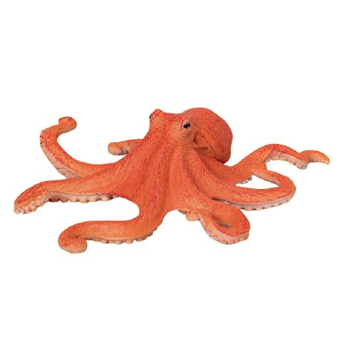 Image result for Octopus Metaheuristic Algorithm