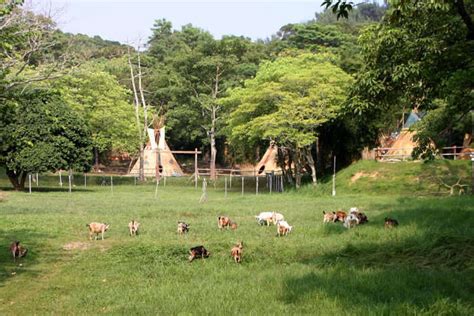 Camping In Hong Kong 2026: 11 Best Sites To Pitch Your Tent In The City