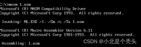 Masm DOSBox 的图像结果