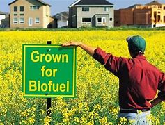 biofuels 的图像结果