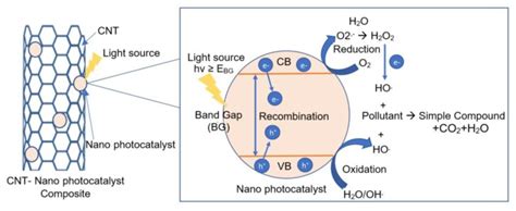 Carbon-Nanotube-Based Nanocomposites in Environmental Remediation: An ...