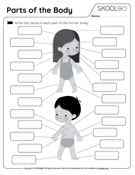 Body Parts Activity