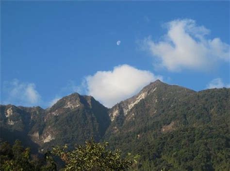 Nagaland Tourist Places, Nagaland Tourism, Wildlife in Nagaland