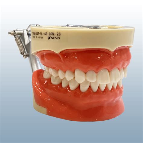 Infiltration Anesthesia 的图像结果