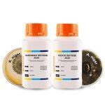 Decoding SDA and PDA: Unravelling the Ideal Agar Medium for Fungal ...