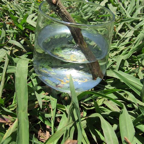 Image result for How to Make a Spring Loaded Spring