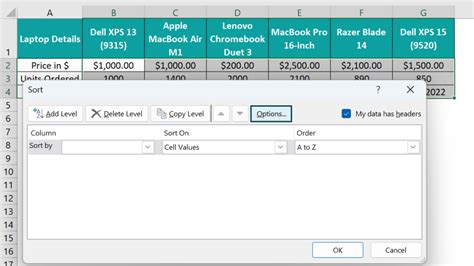 Image result for Excel Sort Options