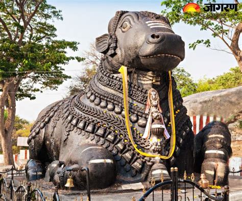 Shiv Nandi: कौन हैं कैलाश के द्वारपाल नंदी और कैसे बनें देवों के देव ...