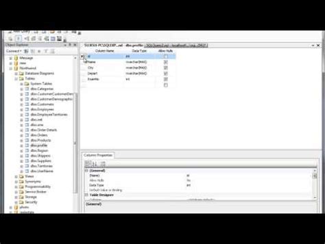 Image result for Net Core SQL Injection in Tutorial in Tamil