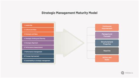 Image result for Maturity Model Examples