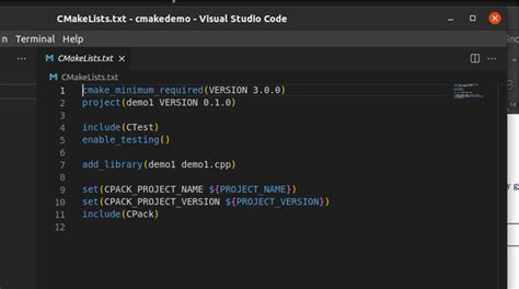 CMake C 的图像结果
