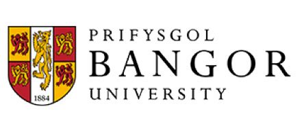 JECRC - University - BBA Global Business - International Graduate programme