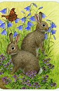 Image result for Baby Small Rabbit Drawing