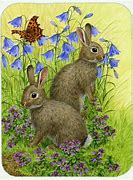 Image result for Rabbit Drawing Clip Art