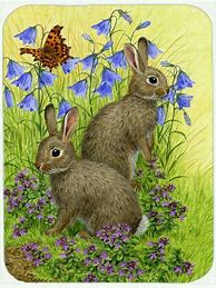 Image result for Vintage Rabbit Art