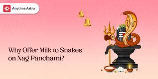 THE SIGNIFICANCE OF MILK ON NAG PANCHAMI: A SACRED OFFERING