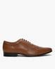 Buy Tan Brown Formal Shoes for Men by NOBLE CURVE Online | Ajio.com