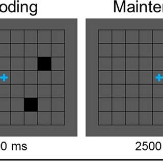 Image result for Spatial Memory Tasks