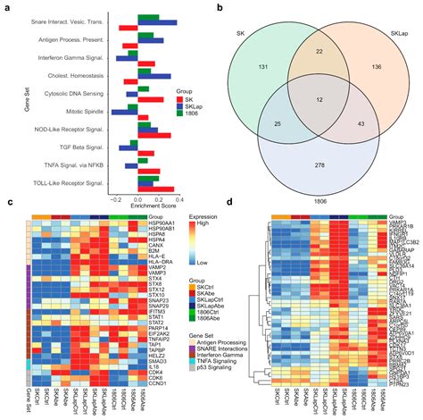 Targeting Tyro3, Axl, and MerTK Receptor Tyrosine Kinases Significantly ...