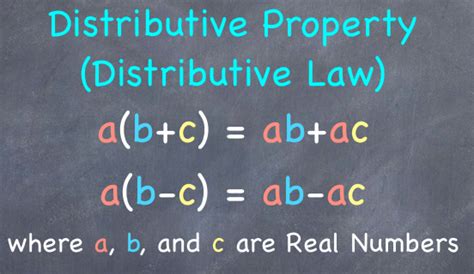 Distributive Law Division 的图像结果