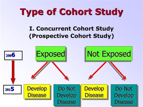 Cohort Study Examples 的图像结果