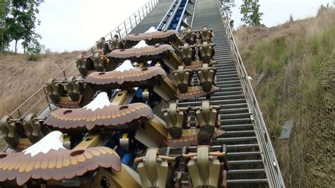 Dollywood - Wild Eagle