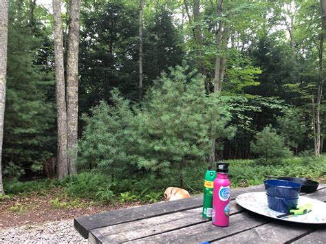 Little Beaver State Park Campground | Beaver, WV