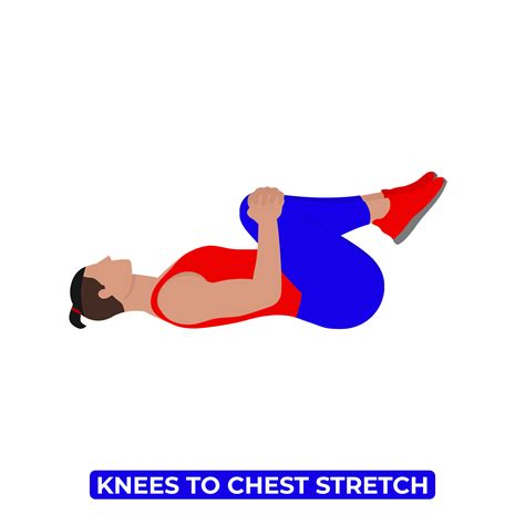 Knee To Chest Position at Carolyn Redington blog