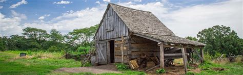 Image result for Primitive Farm
