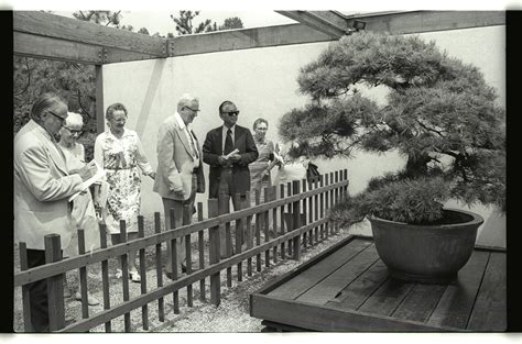 The Foundation — National Bonsai Foundation