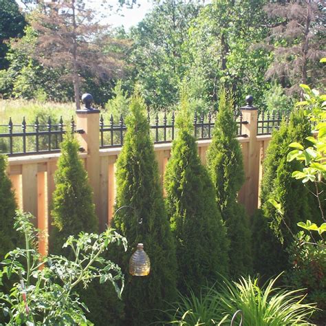 Nuvo Iron 4-in x 4-in Black Aluminum in the Deck Post Caps department ...