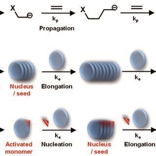 Image result for Anionic Addition Polymerization