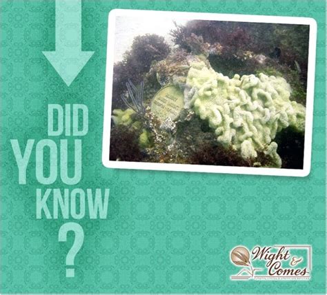 Wight & Comes Funeral Chapel | Watertown SD