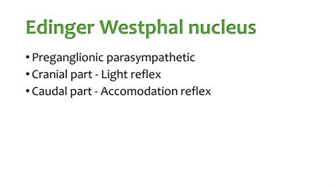 OCCULOMOTOR NERVE PALSY.pptx
