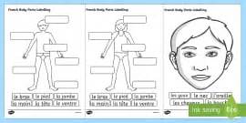 French Body Parts Wordsearch (teacher made)