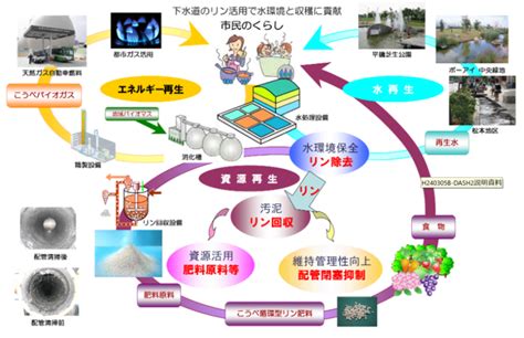 Image result for Computer Program ES Poster