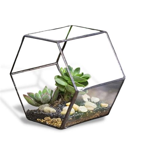 GeoHex Tabletop Terrarium Planter – Leafy Island