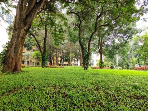 International Institute of Information Technology Bangalore