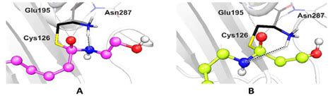 Synthesis, Molecular Modeling and Biological Evaluation of ...
