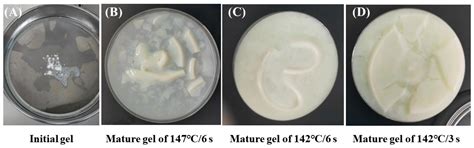 Age Gelation in Direct Steam Infusion Ultra-High-Temperature Milk ...